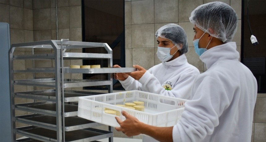  Inauguran la primera fábrica regional que produce quesos 100% a base de plantas 