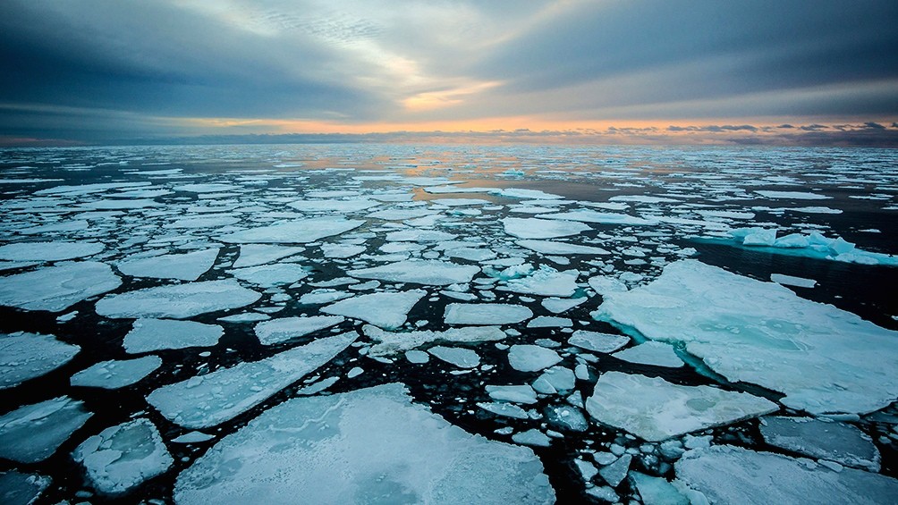  Científicos alertan que el Océano Ártico puede quedarse sin hielo para 2030 