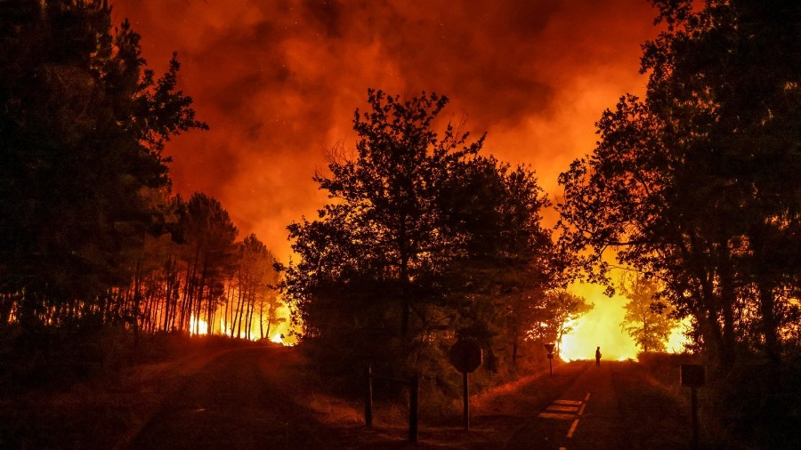  Francia vuelve a enfrentar varios incendios forestales y preocupa la sequía en el sector agrícola 